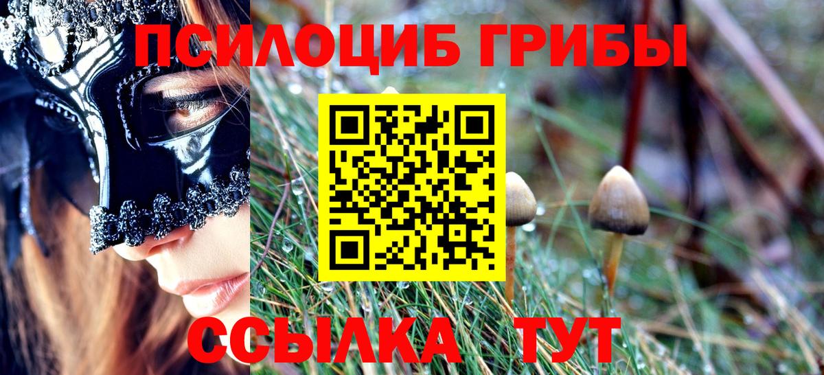 Псилоцибиновые грибы прущие грибы  Галлюциногенные грибы мухоморы  Чебоксары  Вход с VPN 