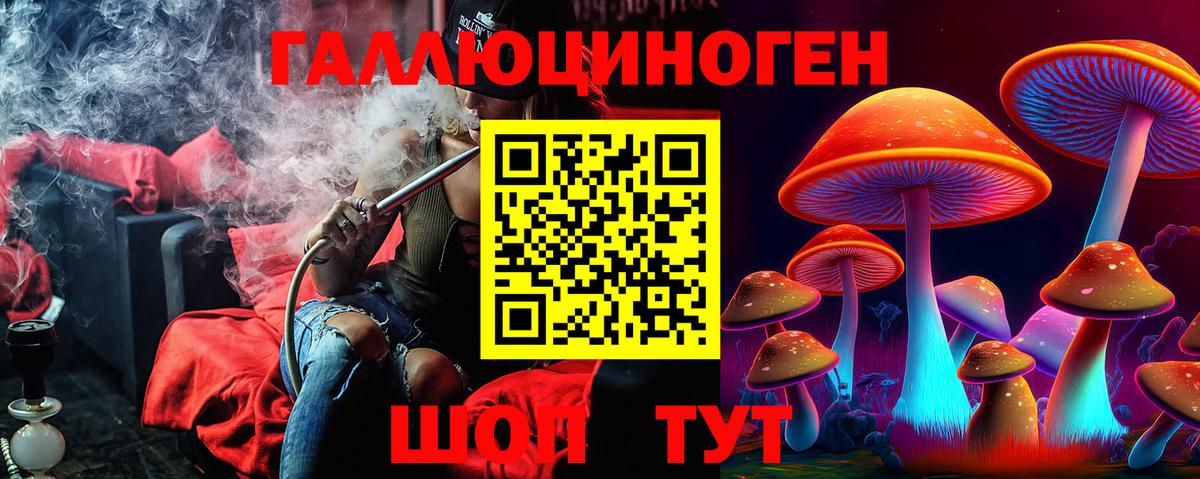 Галлюциногенные грибы Cubensis Чебоксары